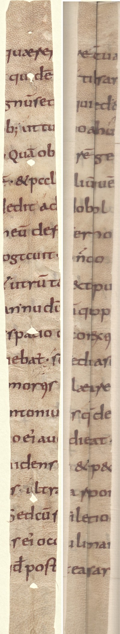 Cod3776_Falz54_55_m_Fragm248_20_verso