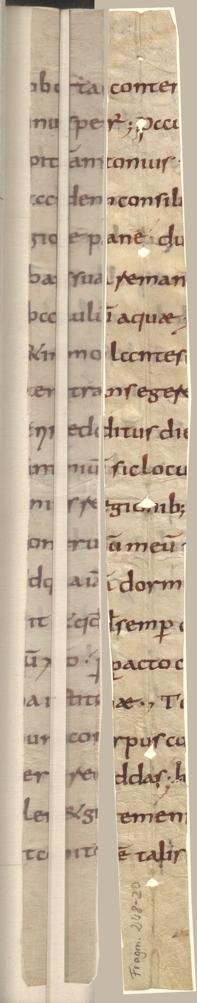 Cod3776_Falz54_55_rv_Fragm248_20_recto