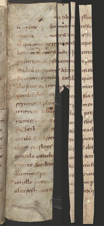 CodSerN_3763_5r_Fragm248_21_1575_2_Cod3776Falz114_115_recto