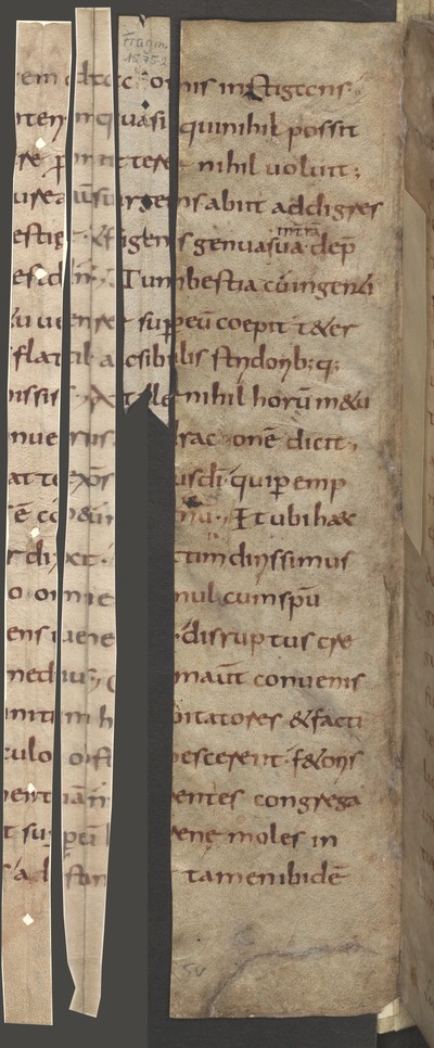 CodSerN_3763_5v_Fragm248_21_1575_2_Cod3776Falz114_115_verso