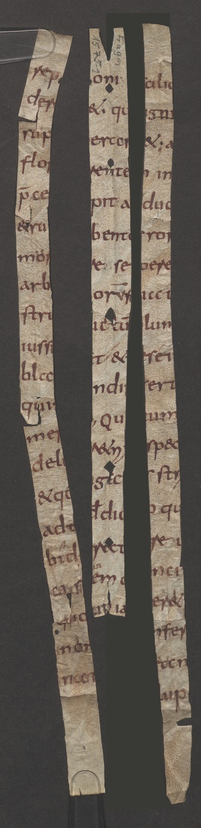 Fragm1562_1_1562_2_1575_1_verso