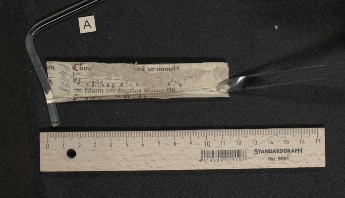 Fragm. 40 a, fol. [1]r