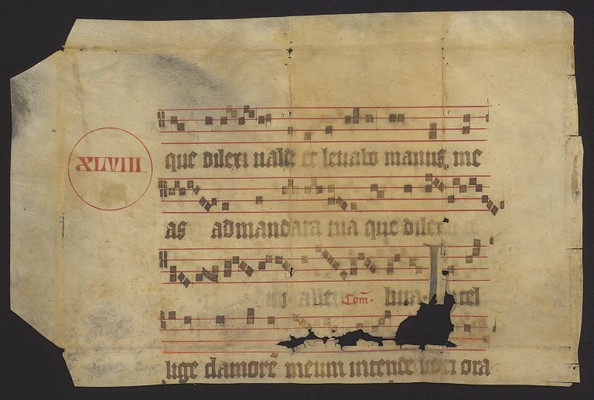 WLB_Cod_fragm_136_verso