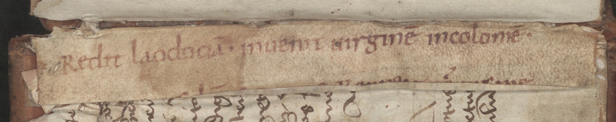 Cod3847_FalzVDS_Ir_r