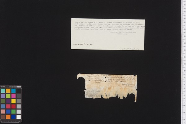 Stams_STA_Frg_003_01r_Adl_01r