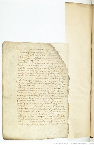 ParisBNFBaluze270_192_f088v