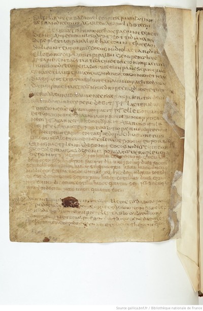 ParisBNFBaluze270_206_f095v