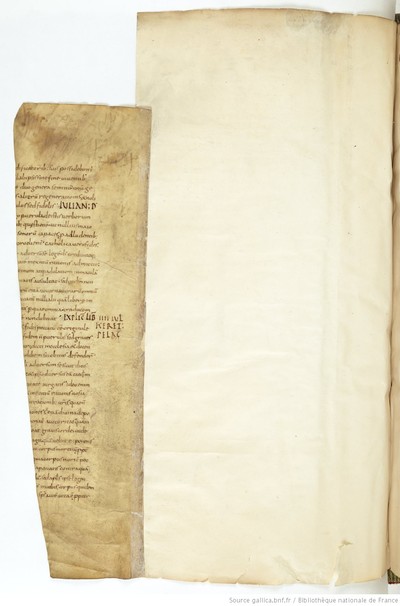 ParisBNFBaluze270_238_f111v