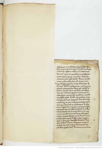 ParisBNFBaluze270_249_f117r