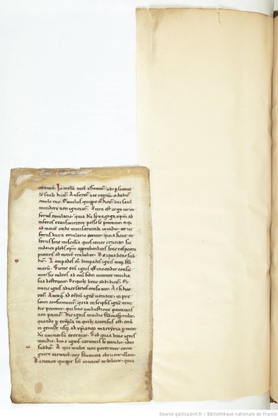 ParisBNFBaluze270_250_f117v