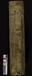Spine