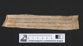 WLB_Cod_fragm_31a_A_recto