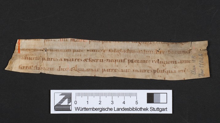 WLB_Cod_fragm_31a_A_recto