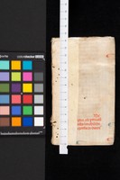 Piatto_posteriore_cont