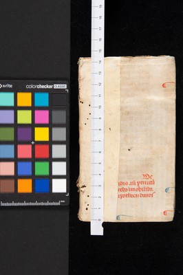 Piatto_posteriore_cont