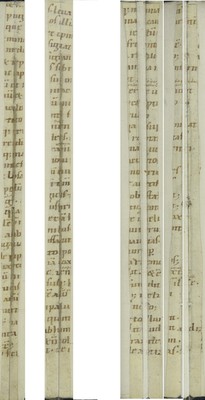 Cod3628_recostructedRecto