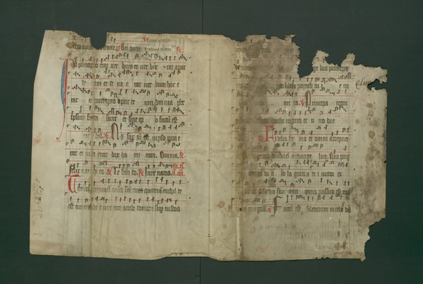 StAL_B_389_Bue_46_IIv_Ir