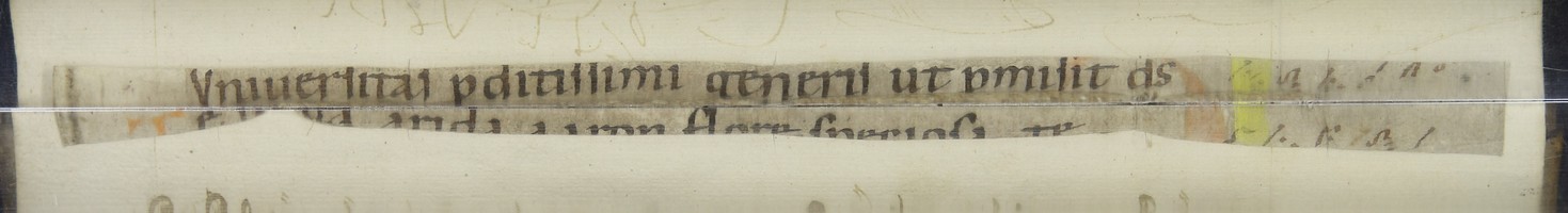 Cod3617_Falz_16_17_m