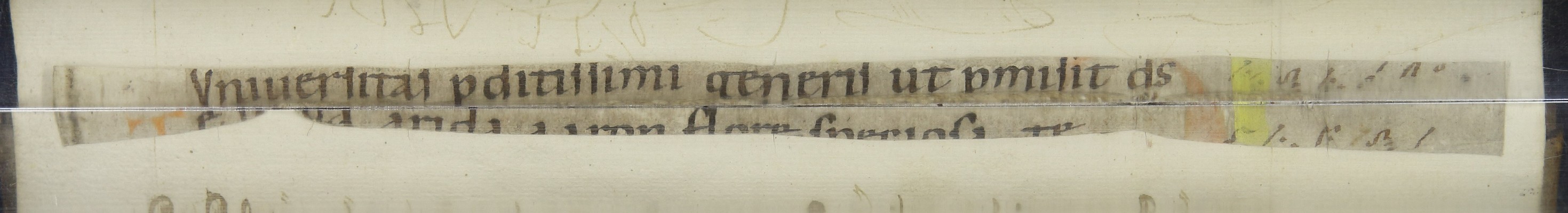 Cod3617_Falz_16_17_m