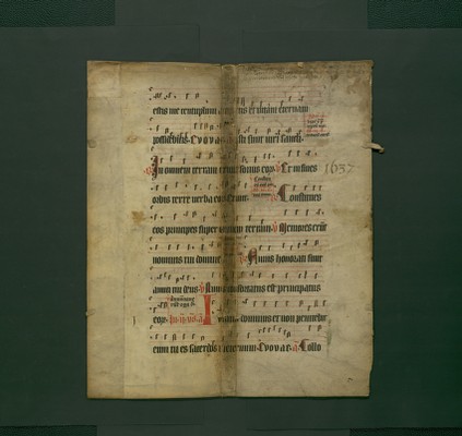 StAL_B_231_Bue_836_c