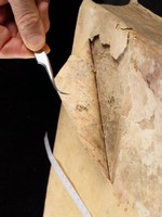 mds_64Ha06_coperta_anteriore_dettaglio