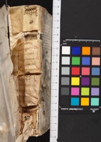 mds_17Ca17_dorso_bis