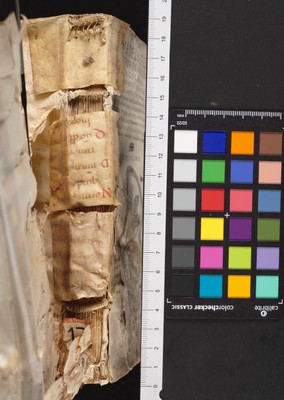 mds_17Ca17_dorso_bis