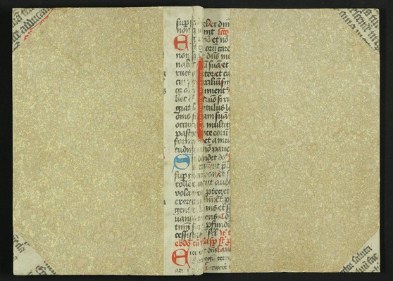 KHM_Wien_Bibliothek_AM_113_5_