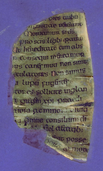 Otho_A_I_6v_UVCompositeR15G17B19