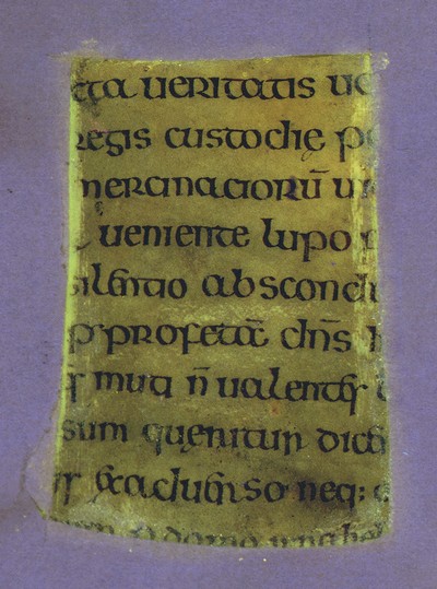 Otho_A_I_8v_UVCompositeR15G17B19