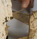 SaL_MJ_330927_31_Frag_TL2v