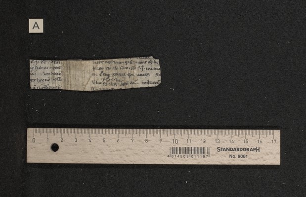 Fragm. 91 a, fol. [1]r