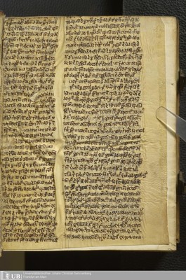 Inc_oct_464_Bd_2_in_situ_Vorsatz_vorne_recto_