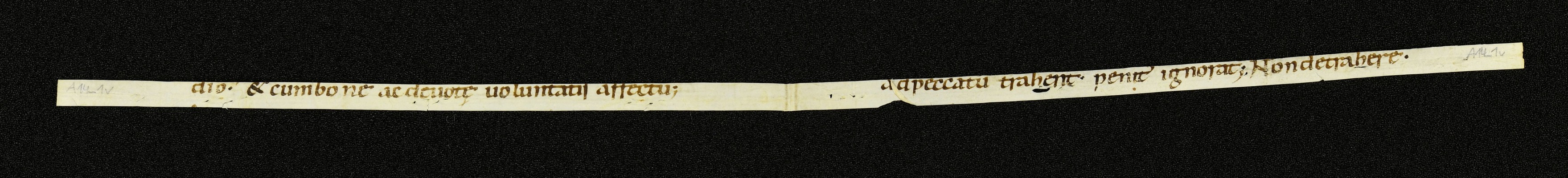 Innsbruck_ULBT_Frg_A14_01_v