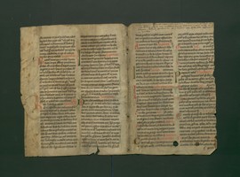 StAL_PL_18_Bue_292_IIv_Ir