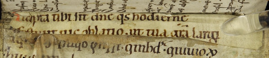 Cod3577_Falz_VDS_Ir_v