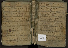 H_101_44_Bd_17_Iv_IIr