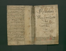 StAL_GL_110_Bd_9_Iv_IIr