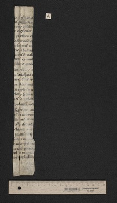 Fragm. 85 a, fol. [1]r