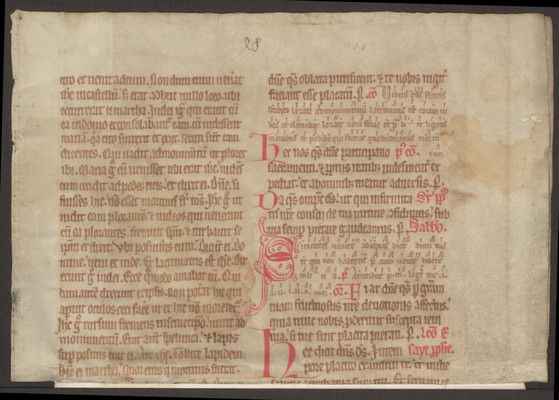 StAL_B_375_I_Bue_704_r_oben