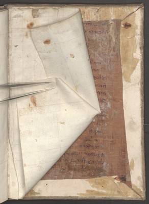 Cod3895_HDS_Keimabklatsch