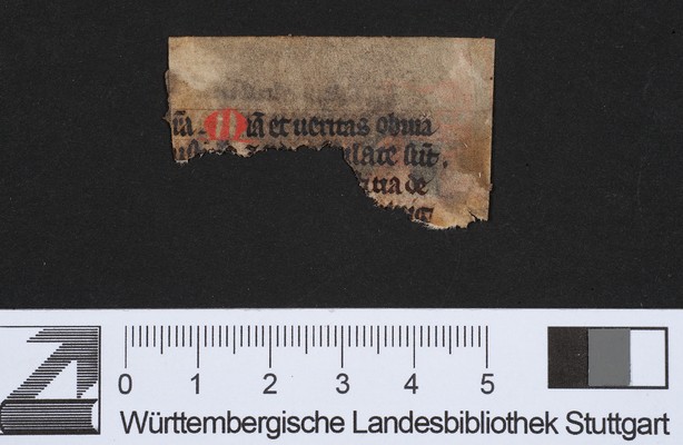 WLB_Cod_fragm_111_D_verso