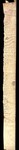 Rear_verso