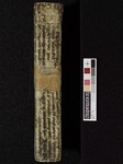 Spine