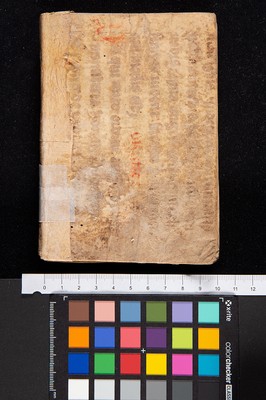 Piatto anteriore_phy