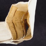 mds_45Da06_rinforzo2a