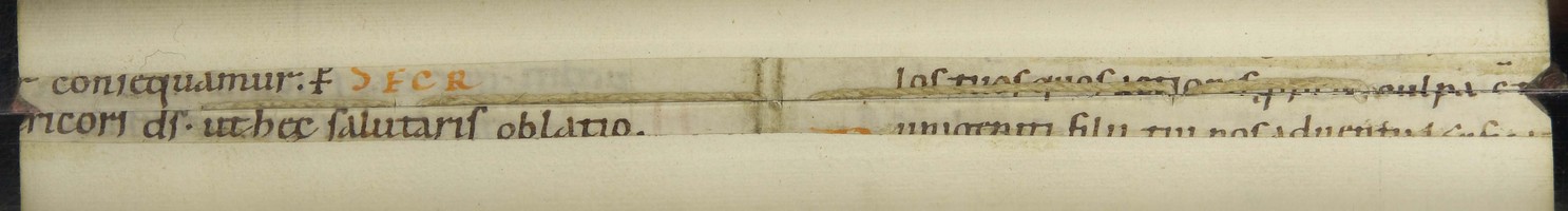 Cod3598_Falz_90_91_m