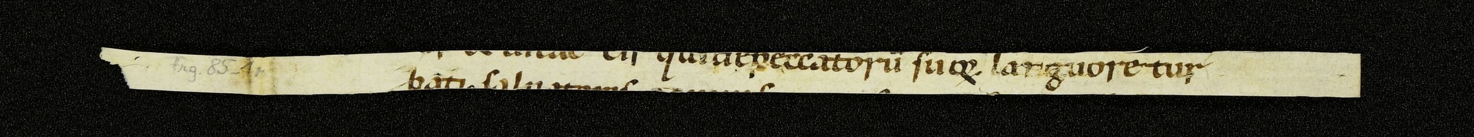 Innsbruck_ULBT_Frg_085_01_r