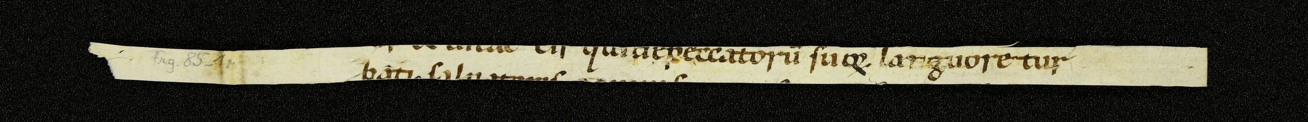 Innsbruck_ULBT_Frg_085_01_r