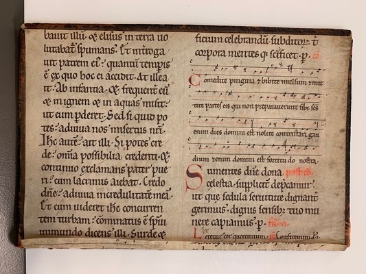 USydMS1backcoverdetail